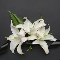 ご利用プラン・料金についてのご案内