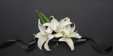 ご利用プラン・料金についてのご案内