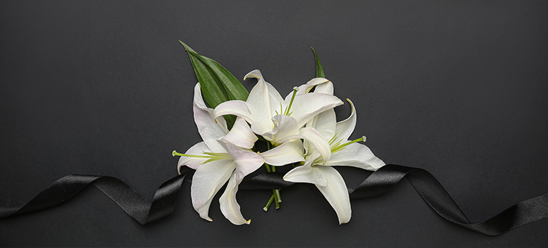 ご利用プラン・料金についてのご案内