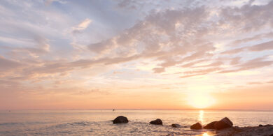 ホームページ開設のお知らせ